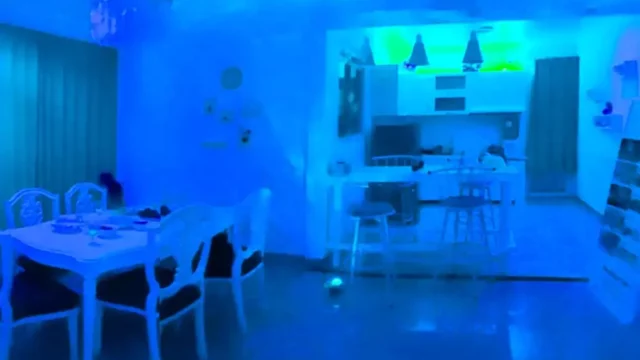 NIGHT-VIBE-2