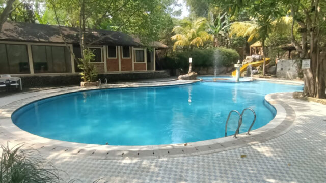 pool-11313